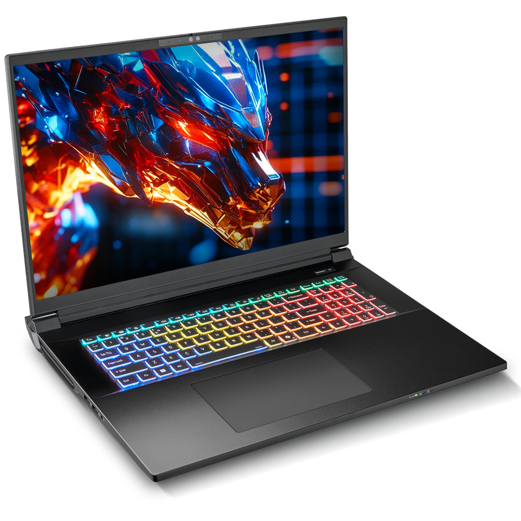 SAGER NP9581S (Clevo X580WNS-G) Gaming Laptop