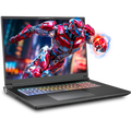 SAGER NP9581T (Clevo X580WNT-G) Gaming Laptop