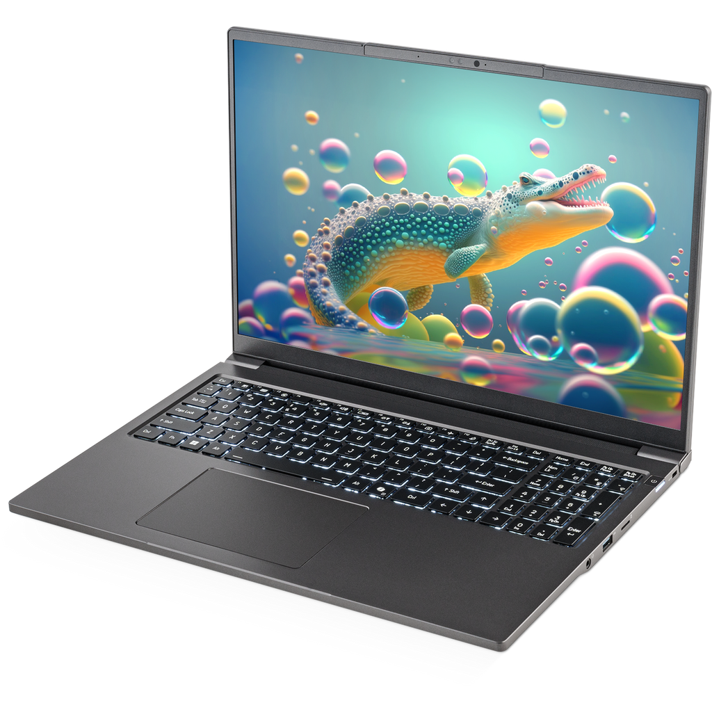 SAGER NP3262U (Clevo L260JUX) Laptop