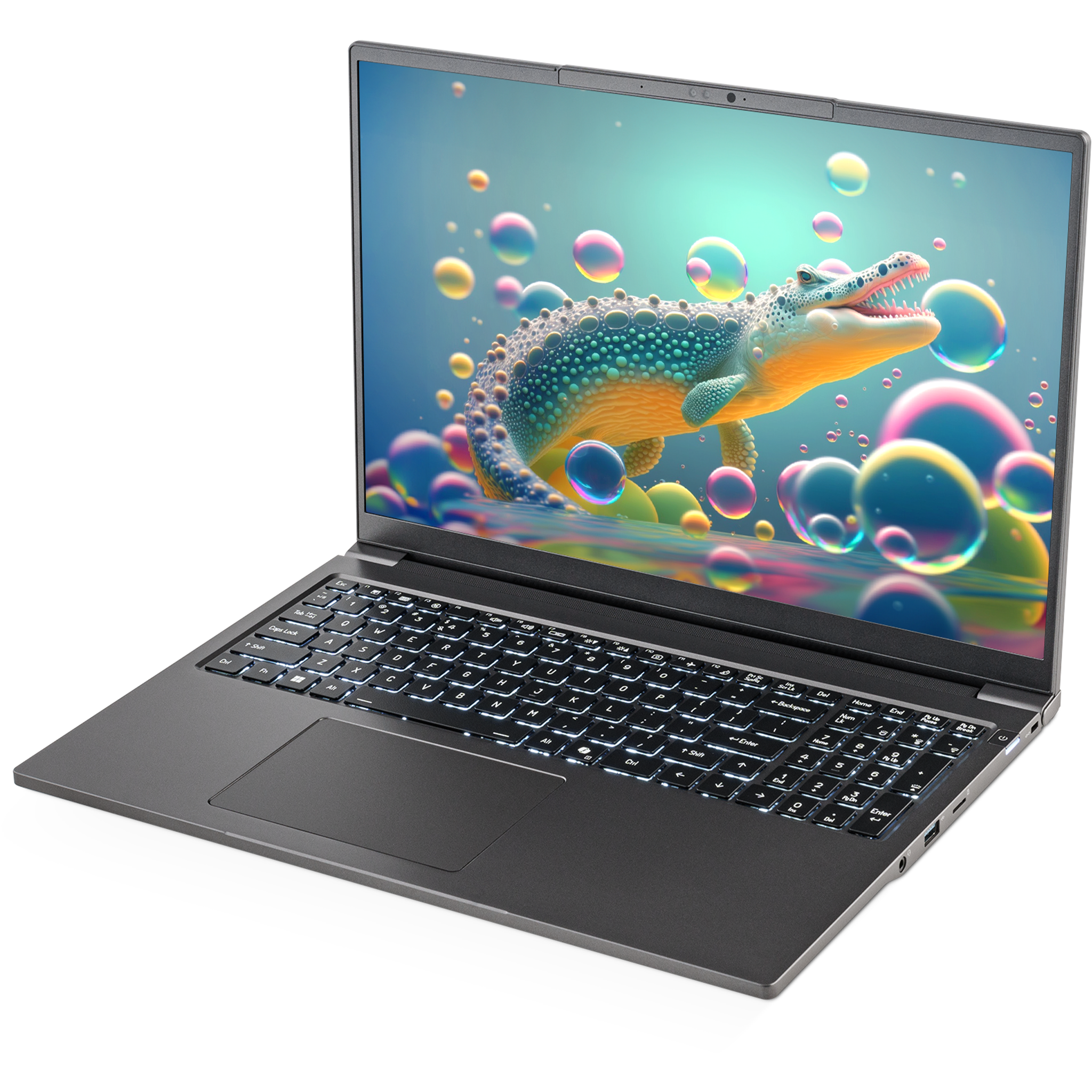 SAGER NP3262U (Clevo L260JUX) Laptop