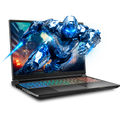 SAGER NP9560R (Clevo X560WNR-G) Gaming Laptop