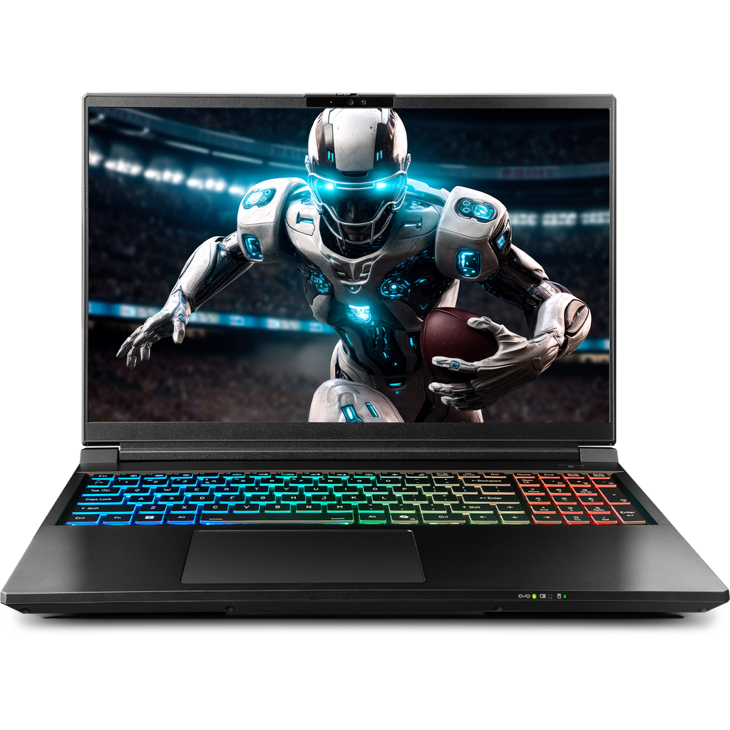 SAGER NP9560R (Clevo X560WNR-G) Gaming Laptop