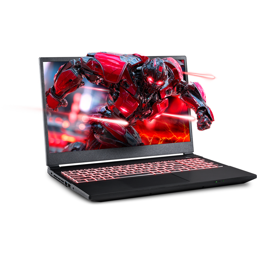 SAGER NP5251M (Clevo V255RNM) Gaming Laptop