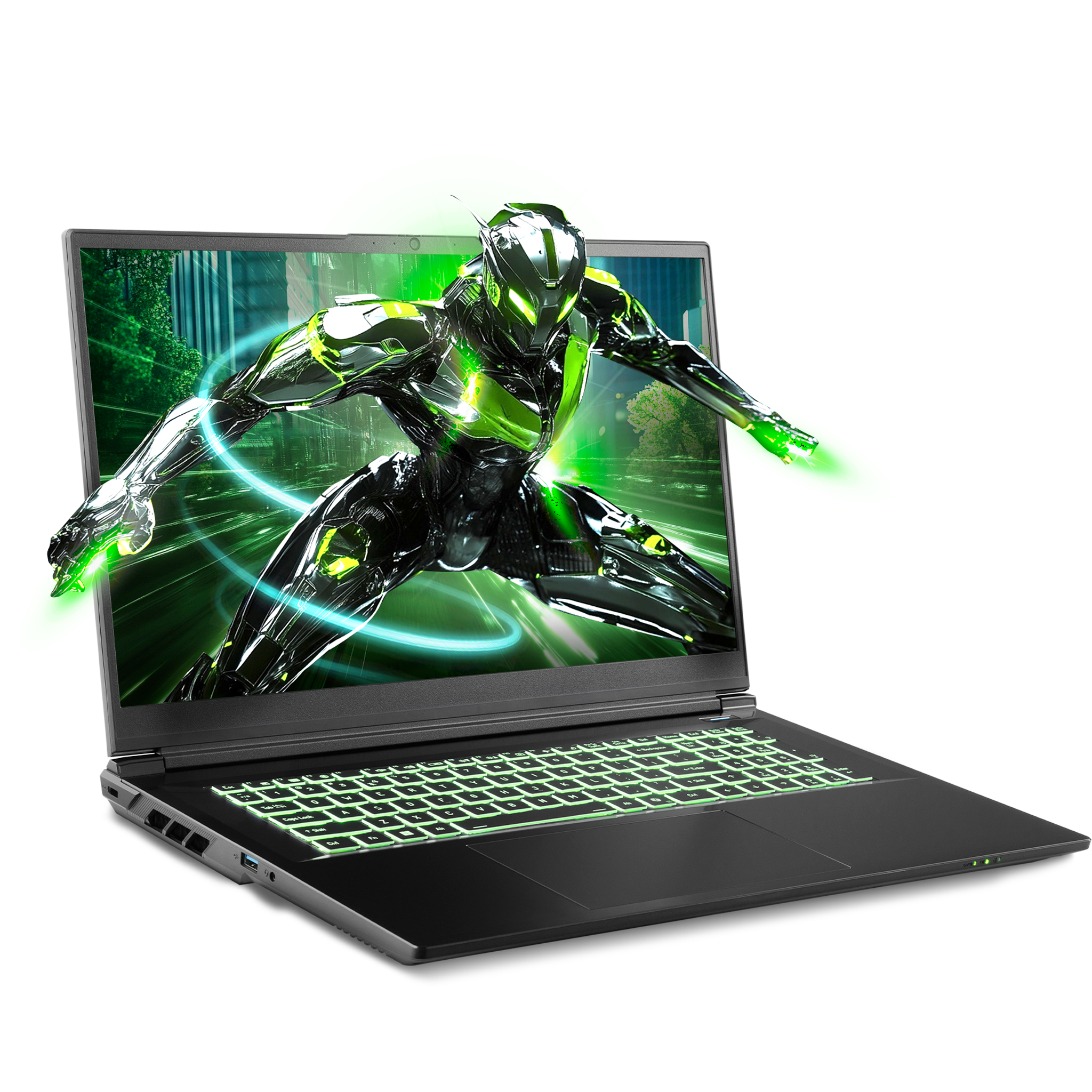 SAGER NP7571N (Clevo V370WNNQ) Gaming Laptop